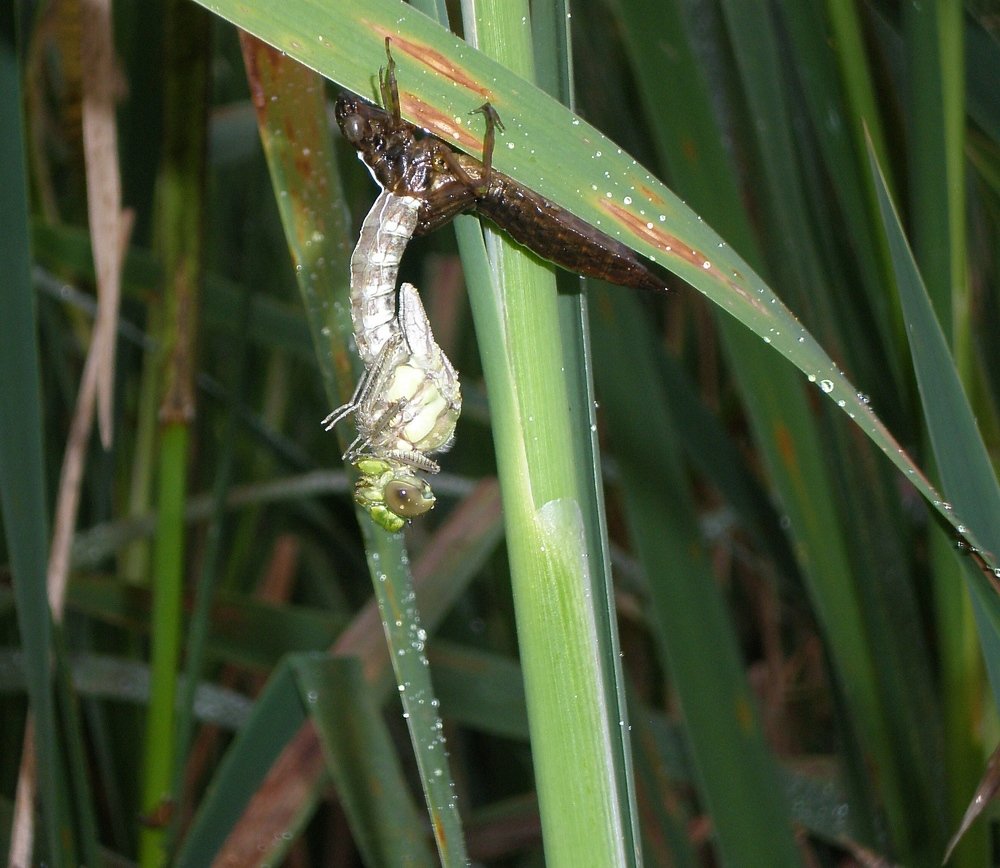 Photograph by Роман Савоцкий