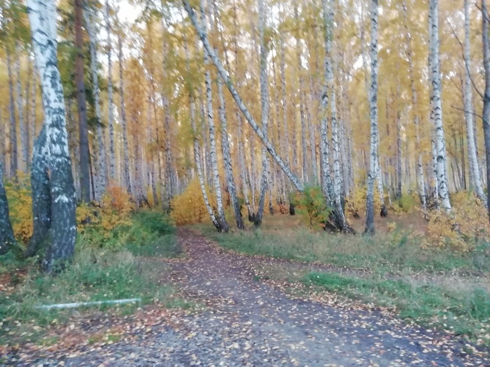 Photo #5068261