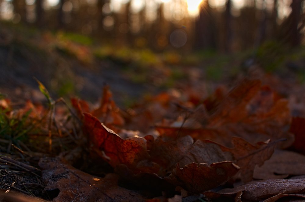 Photograph by Евгений Козлов