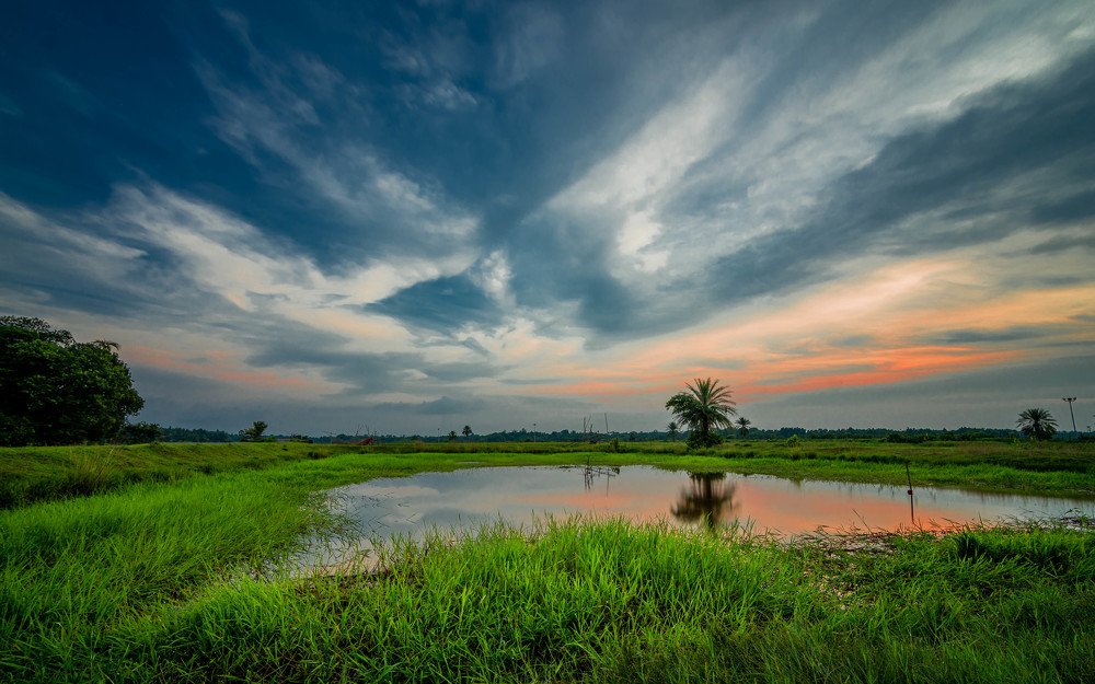 Photograph by Pinak Paul