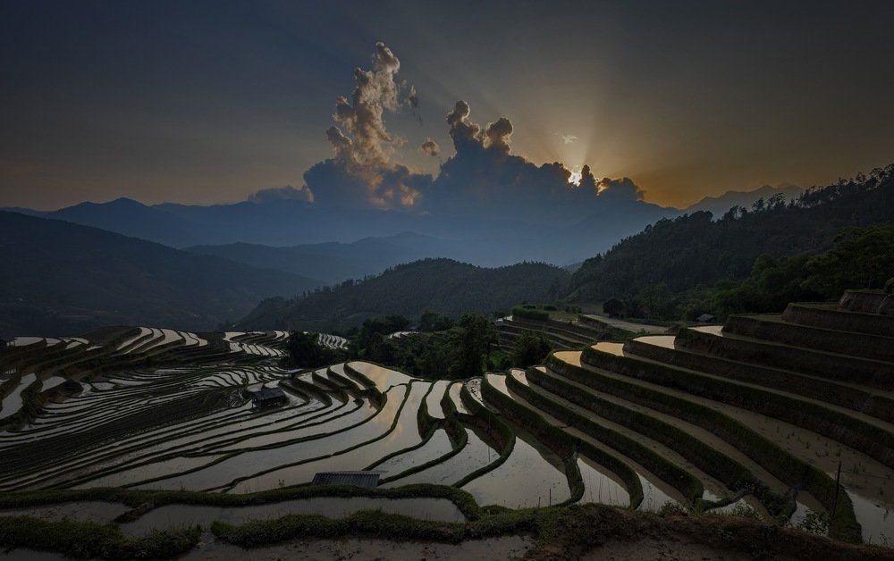 Photograph by Panda Nguyen