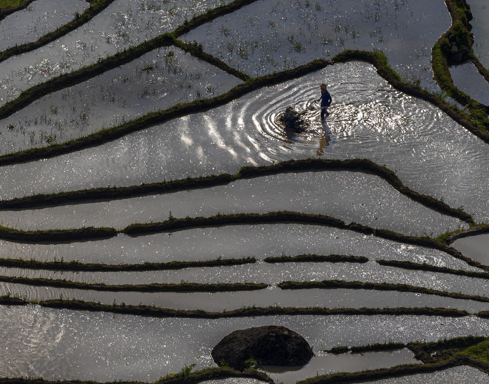 Photograph by Panda Nguyen