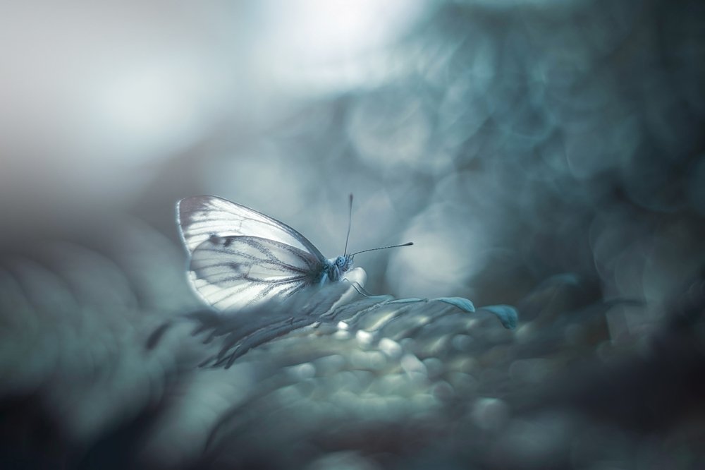 Photograph by Лапшина Владлена