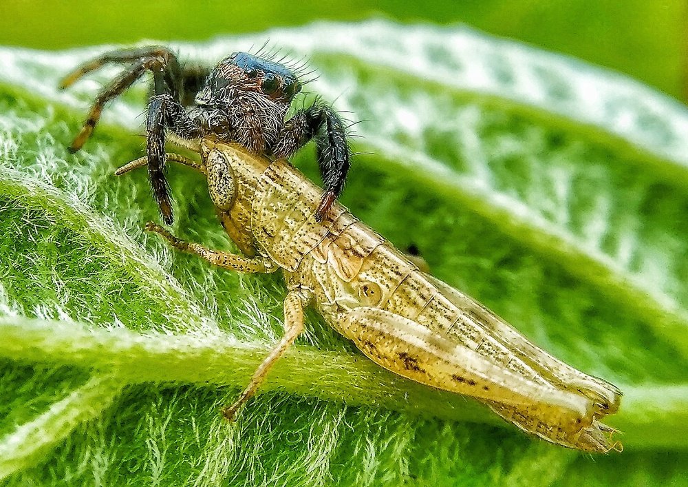 Photograph by Photography Debroto