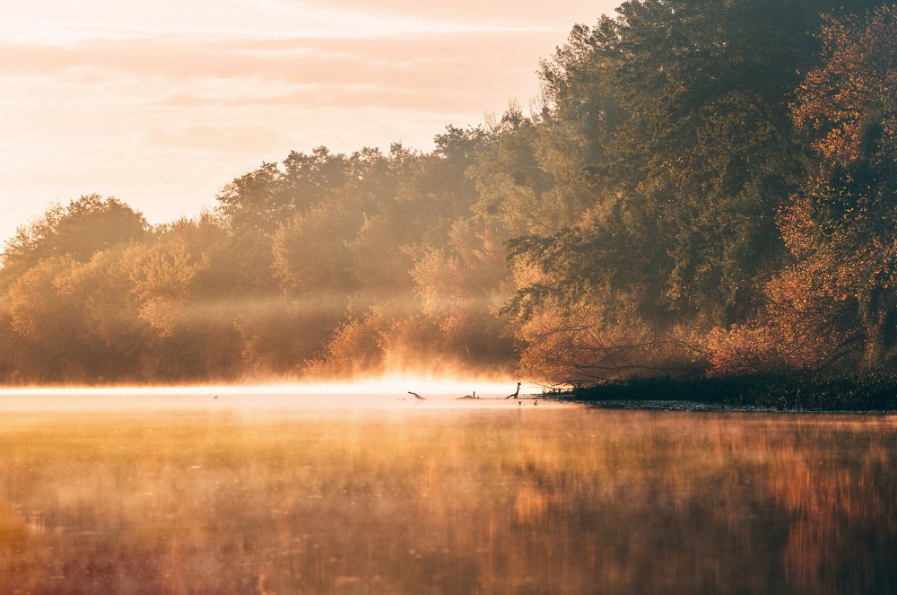 Photograph by логинов денис александрович