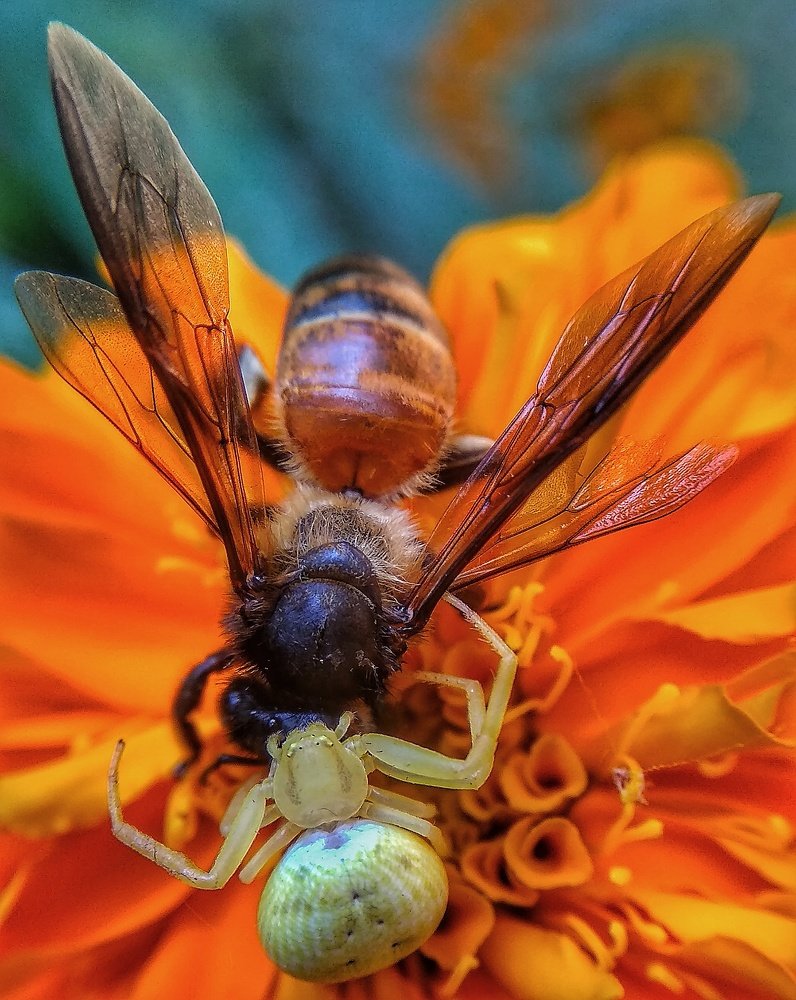 Photograph by Photography Debroto