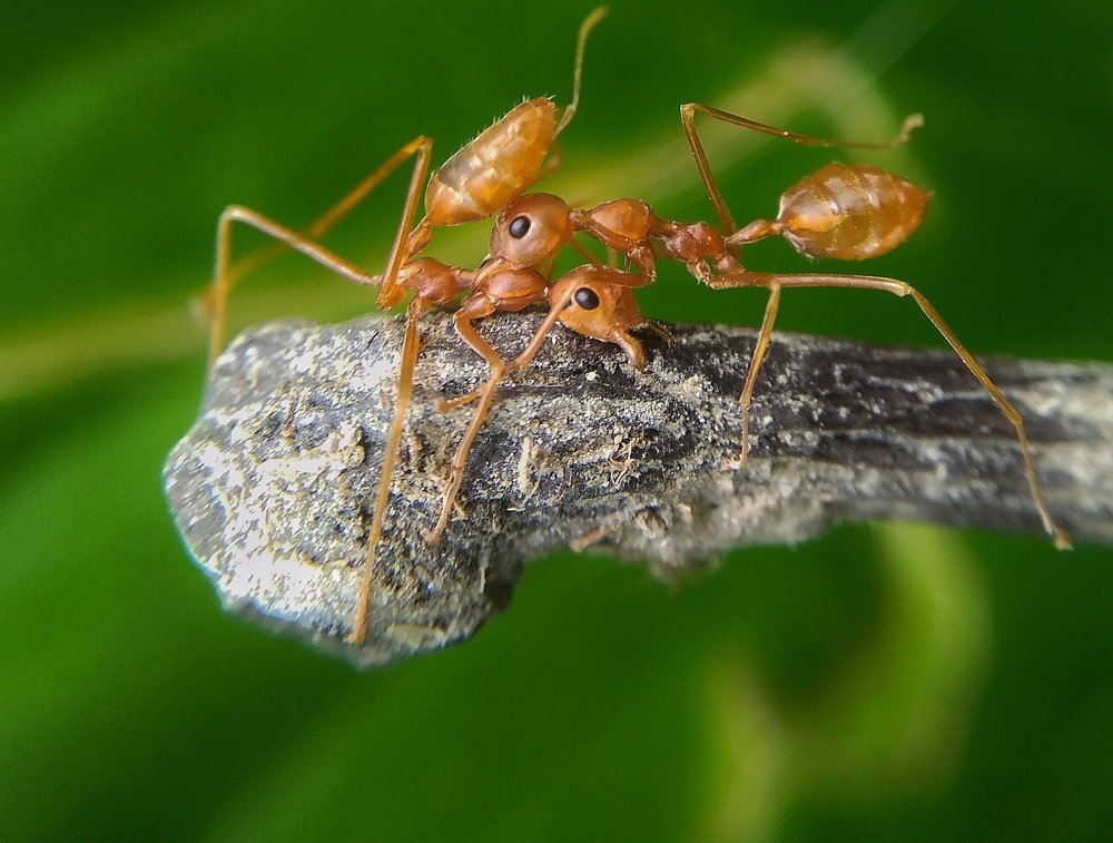 Photograph by Photography Debroto