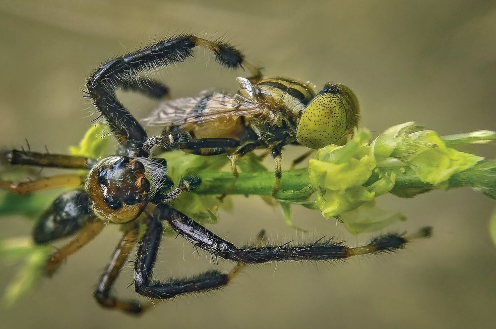 Photograph by Photography Debroto