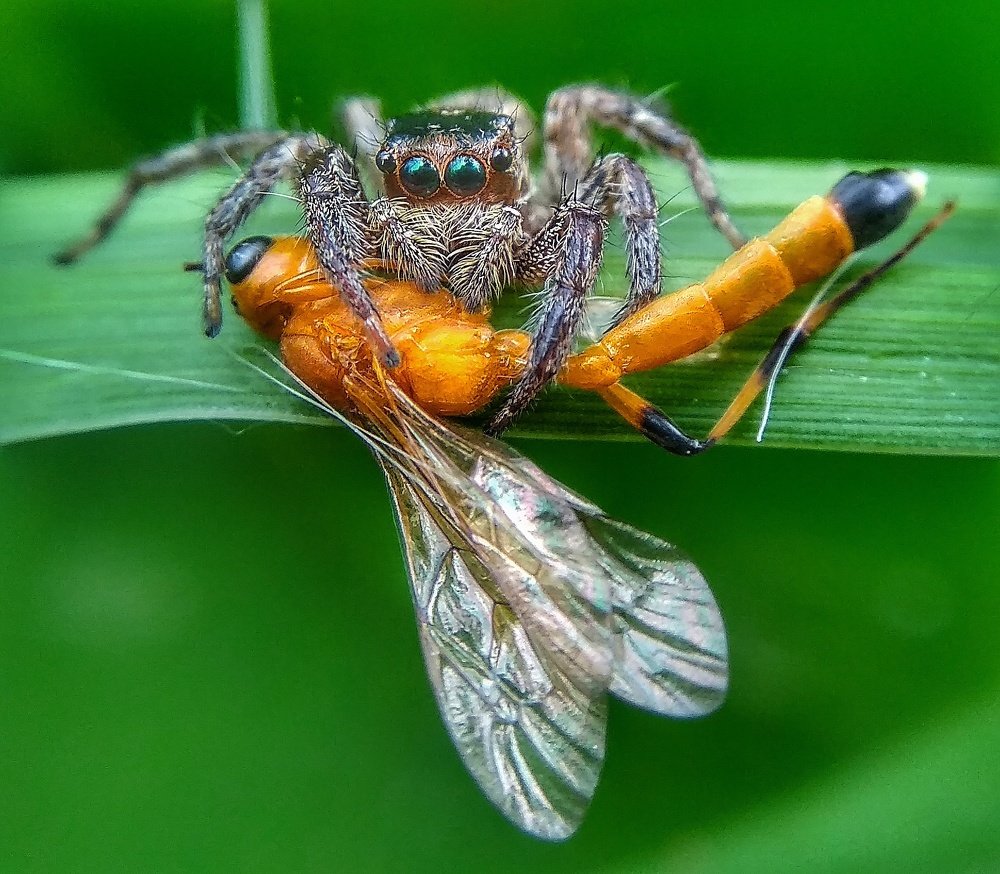 Photograph by Photography Debroto