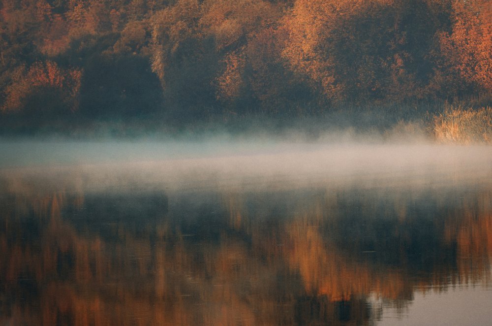 Photograph by логинов денис александрович