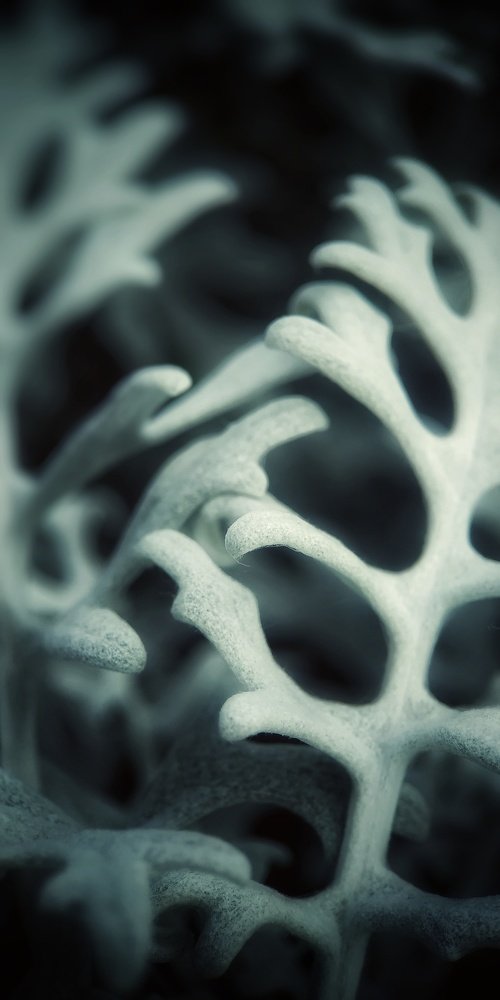 Photograph by Юлия Марфонова