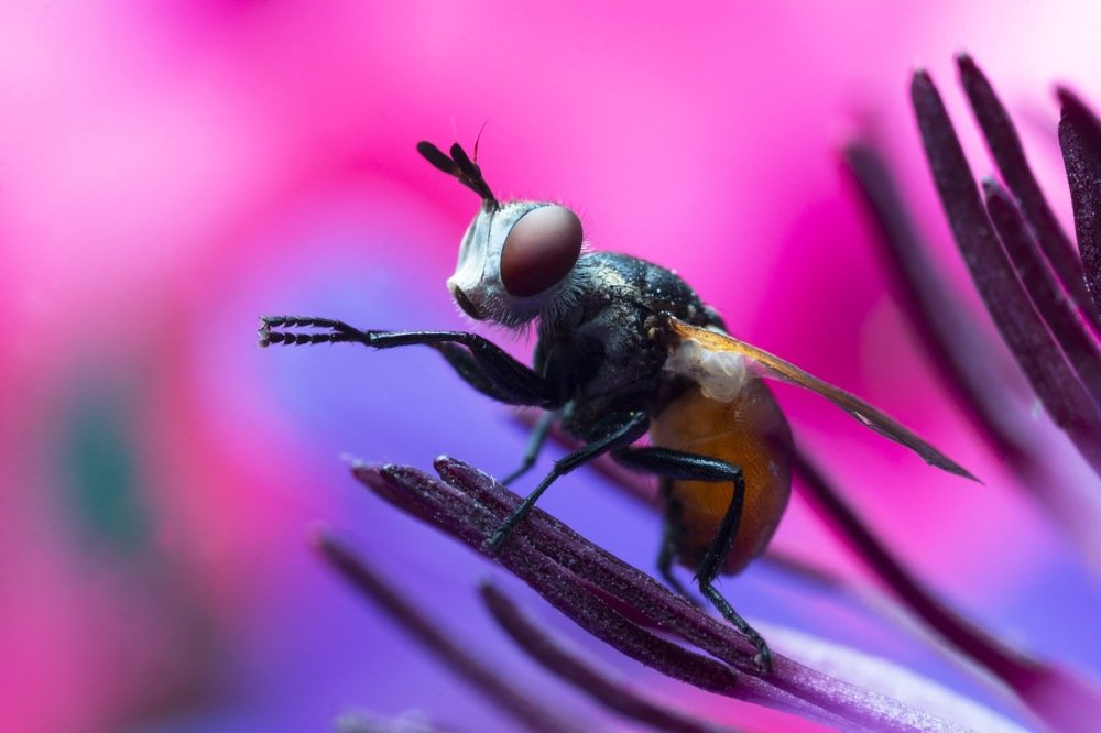 Photograph by Людмила Гудина