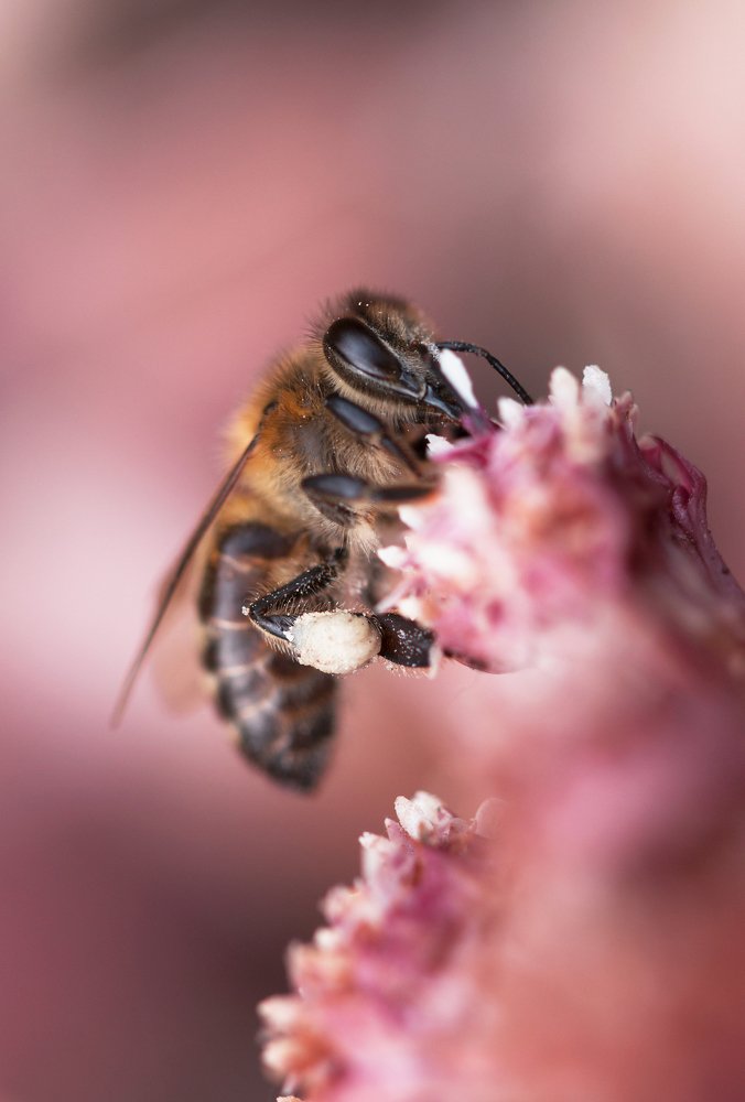 Photograph by Людмила Гудина