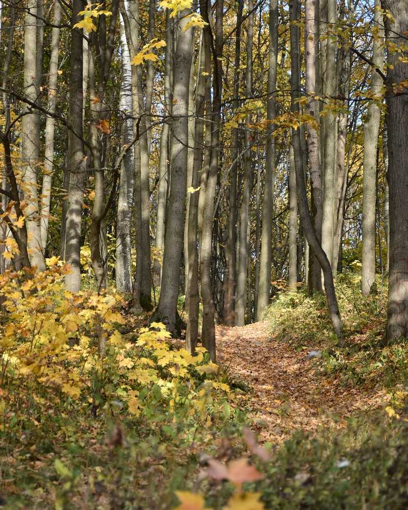 Photograph by Valentina Kolotova