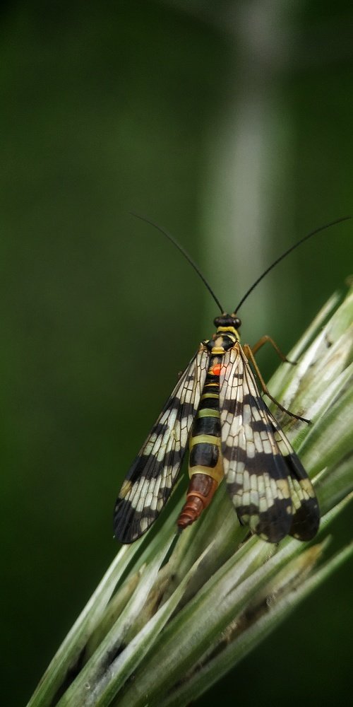 Photograph by Юлия Марфонова