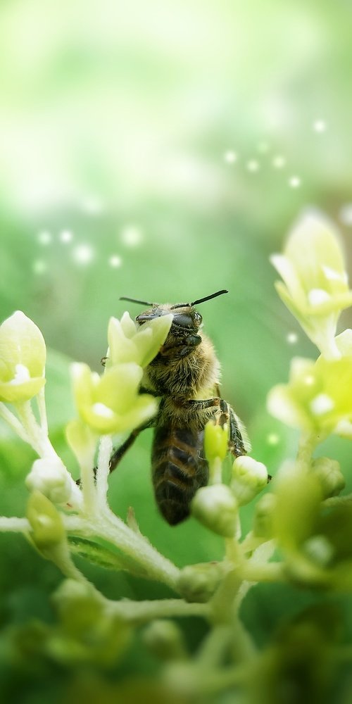 Photograph by Юлия Марфонова