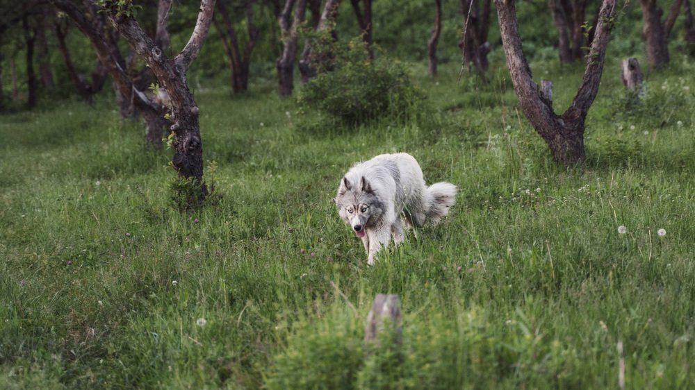Photograph by Даурен Умутбеков