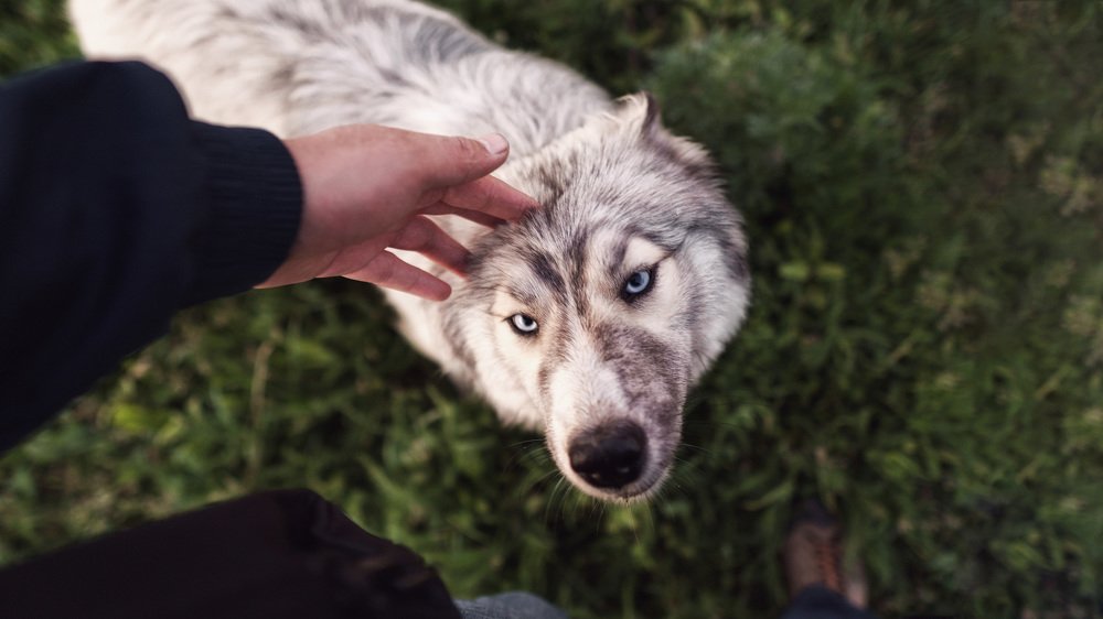 Photograph by Даурен Умутбеков