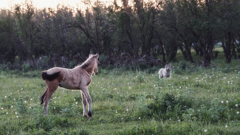 Photograph by Даурен Умутбеков