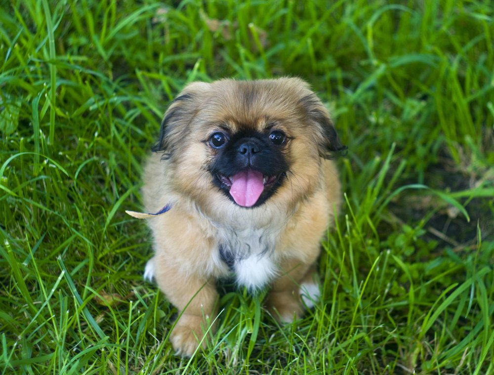 Photograph by Александр Белоус