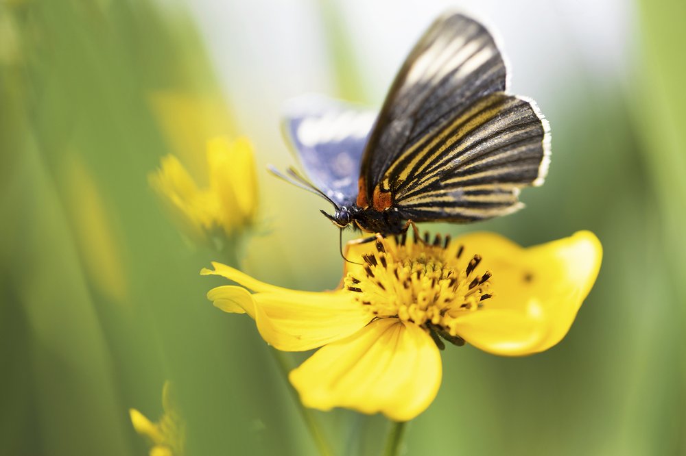 Фотография автора Tamara Maria Blazquez Haik
