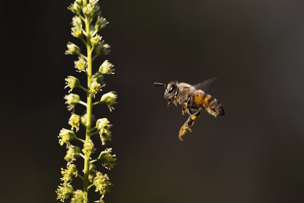 Фотография автора Tamara Maria Blazquez Haik