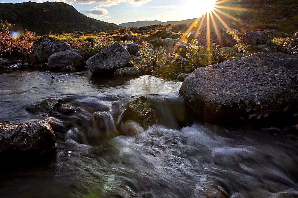 Photograph by Ольга Одаренко