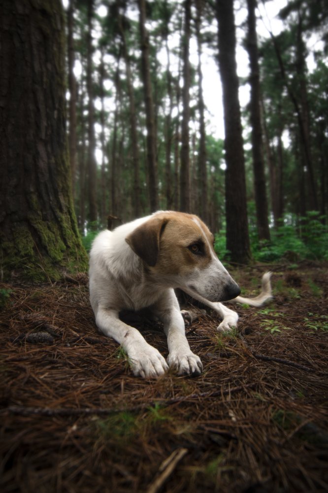 Photograph by Hossein Zeinali
