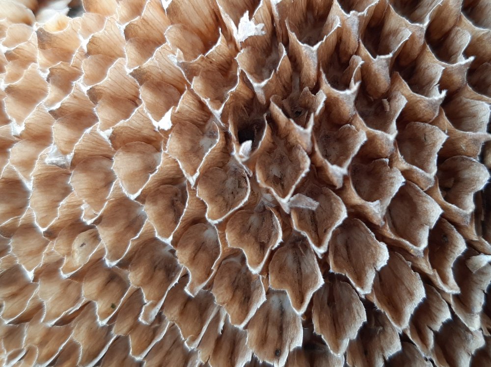 Фотография автора Ольга Никанович