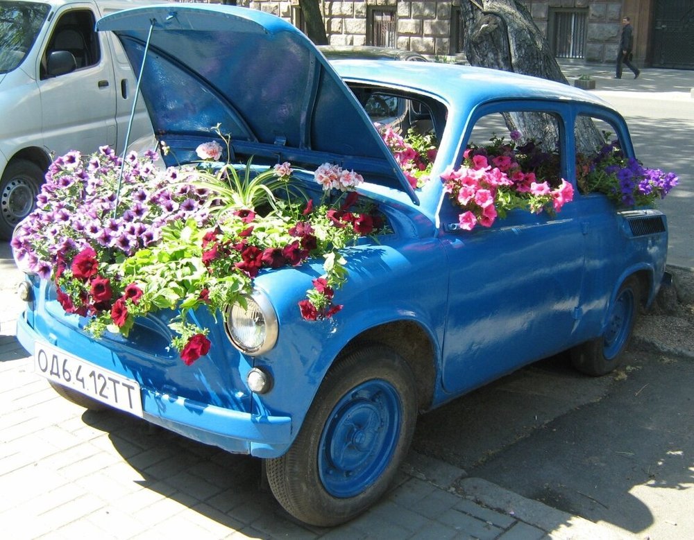 Горбатая клумба