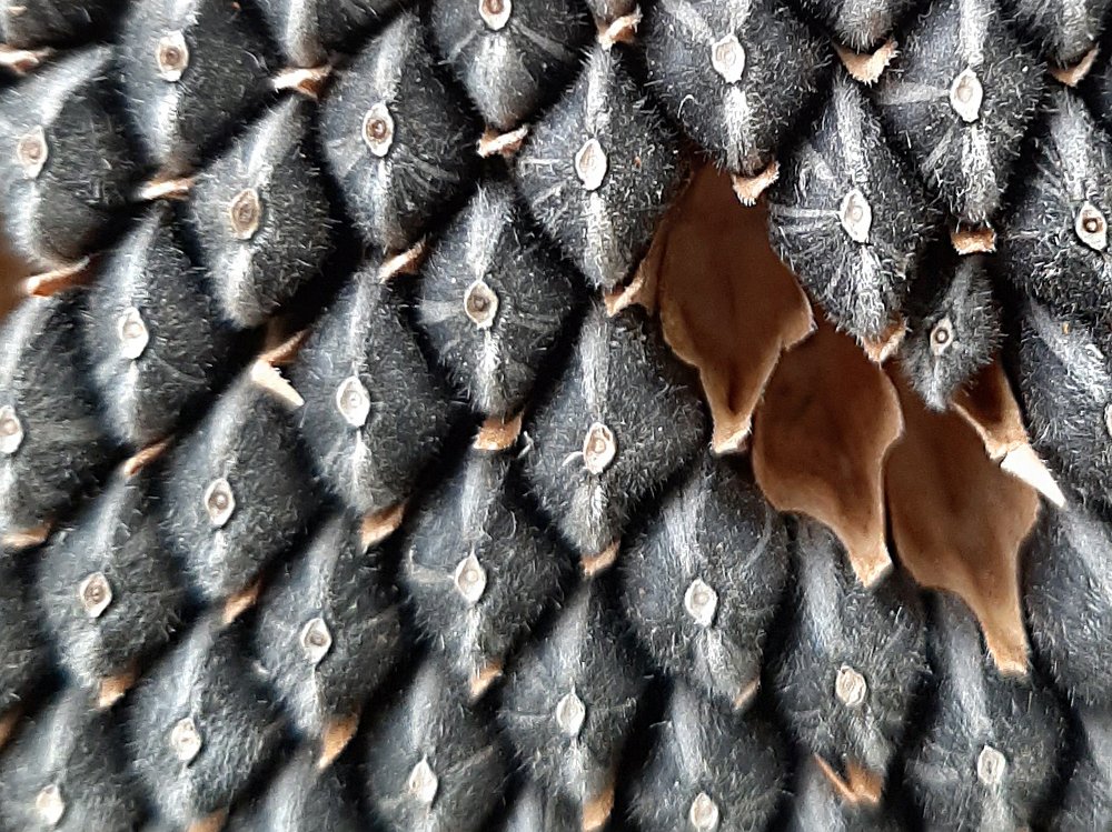 Фотография автора Ольга Никанович