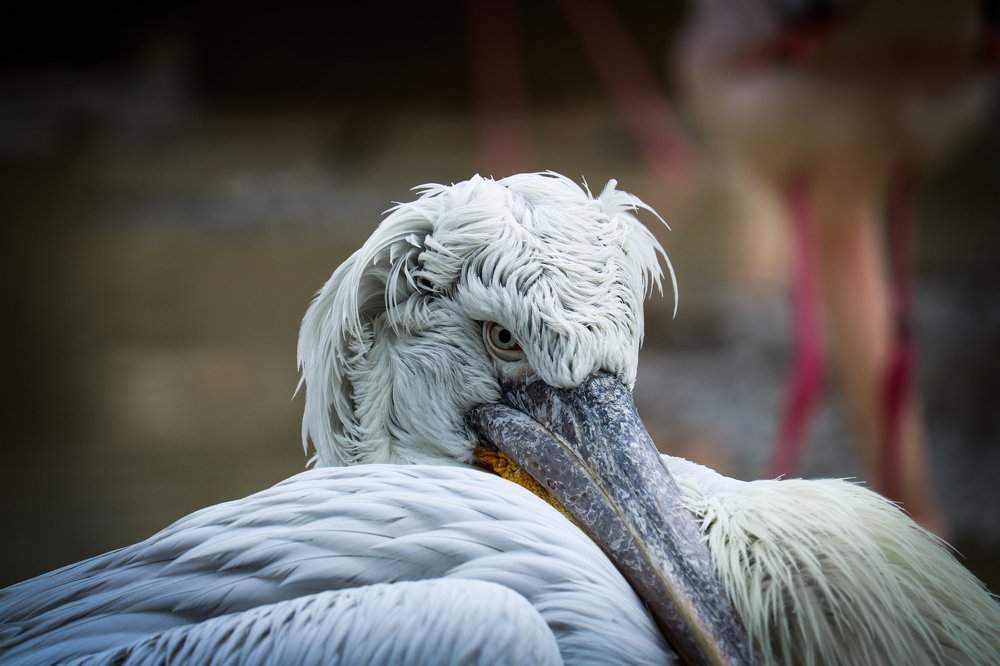 Photograph by Hossein Zeinali