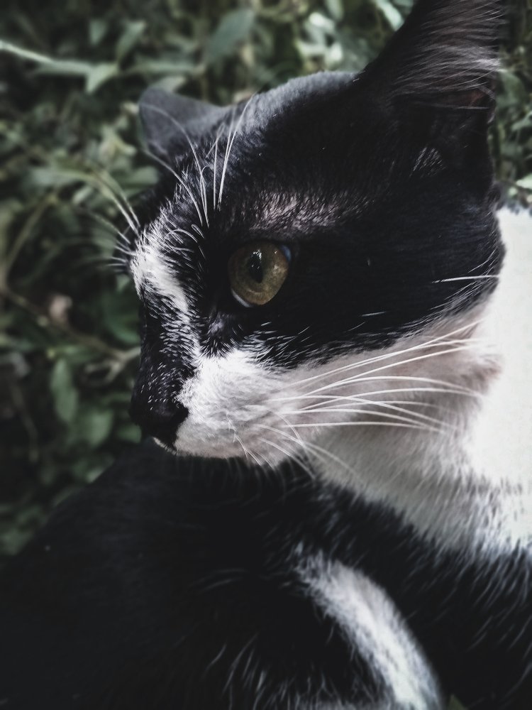 Photograph by Ayi Jamaludin