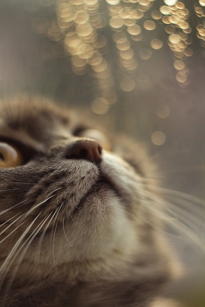 Photograph by Александра Боброва