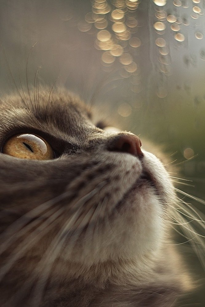 Photograph by Александра Боброва