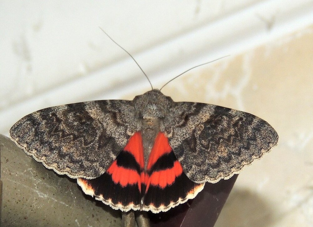 Photograph by Юрий Тихонов