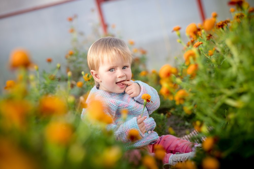 Photograph by Сергей Быченков