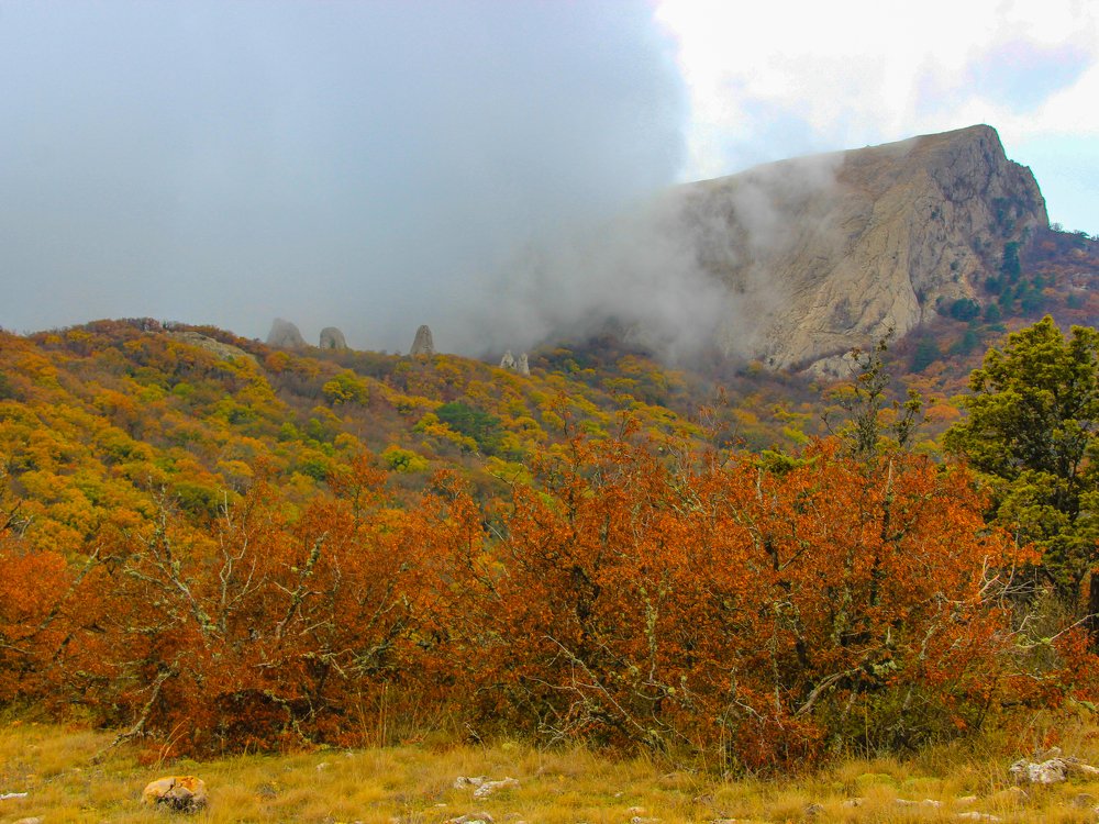 Photograph by Татьяна Шелудяк