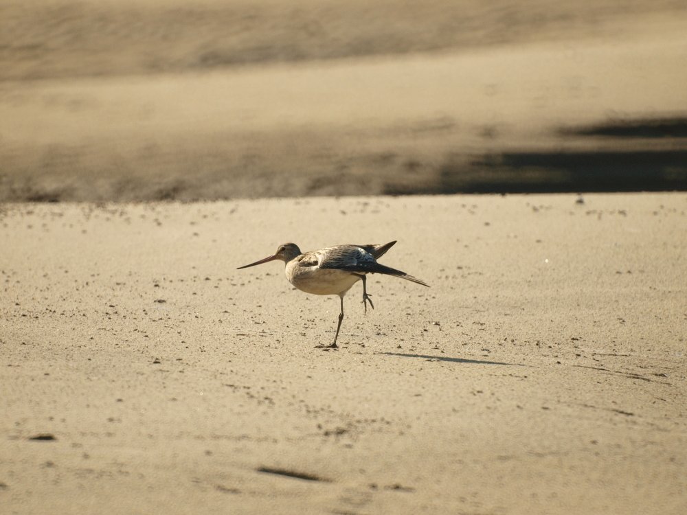 Баланс/ balance