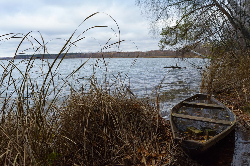 Photograph by Илья Мефодьев