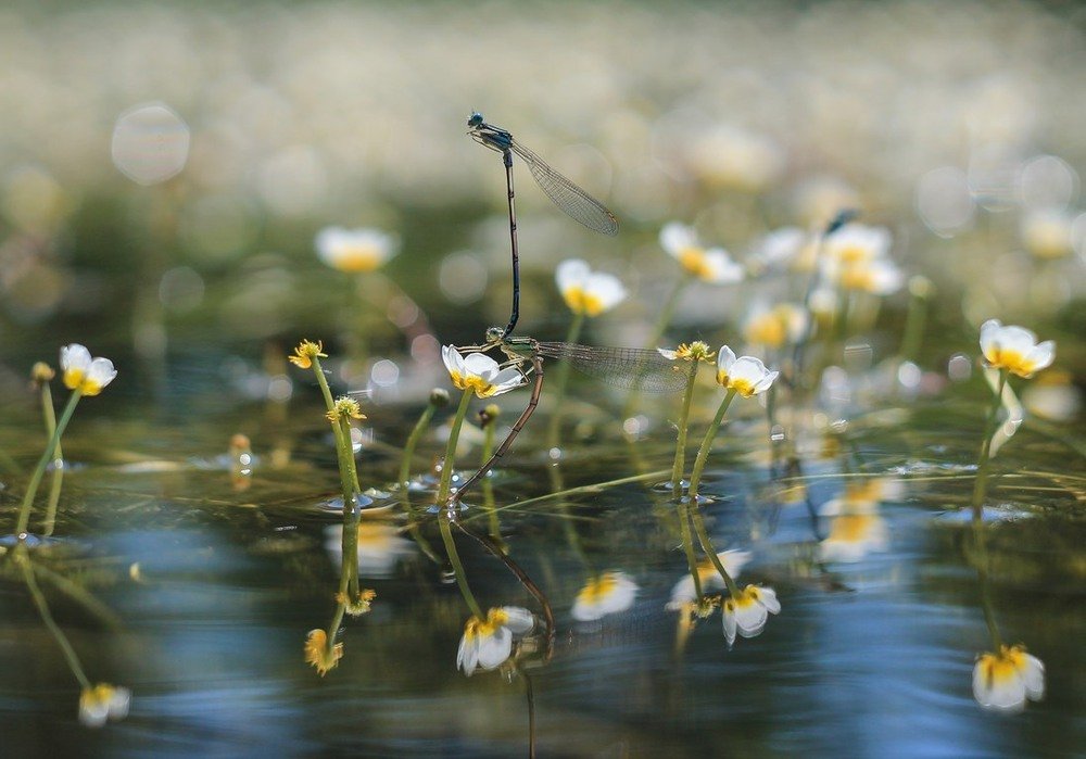 Photograph by Oleksii Konchenko