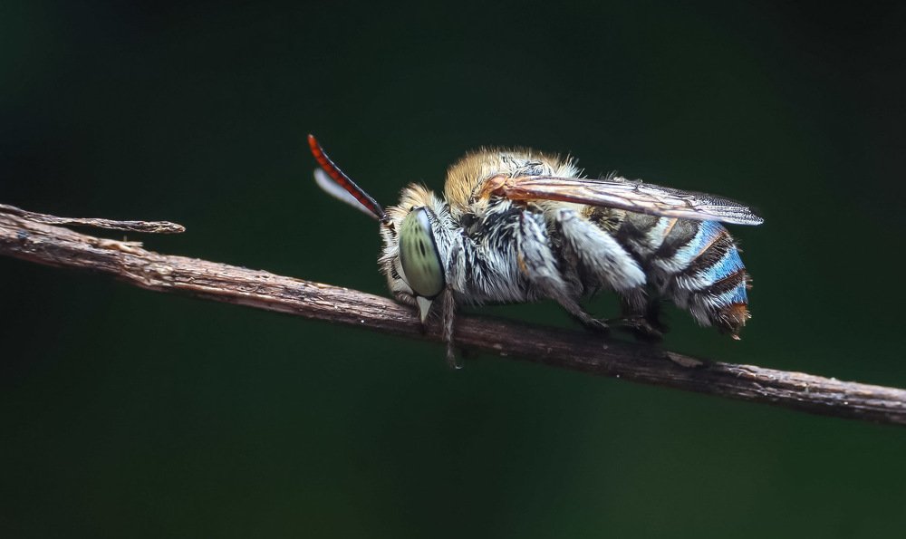 Photograph by Mark Kineth Casindac