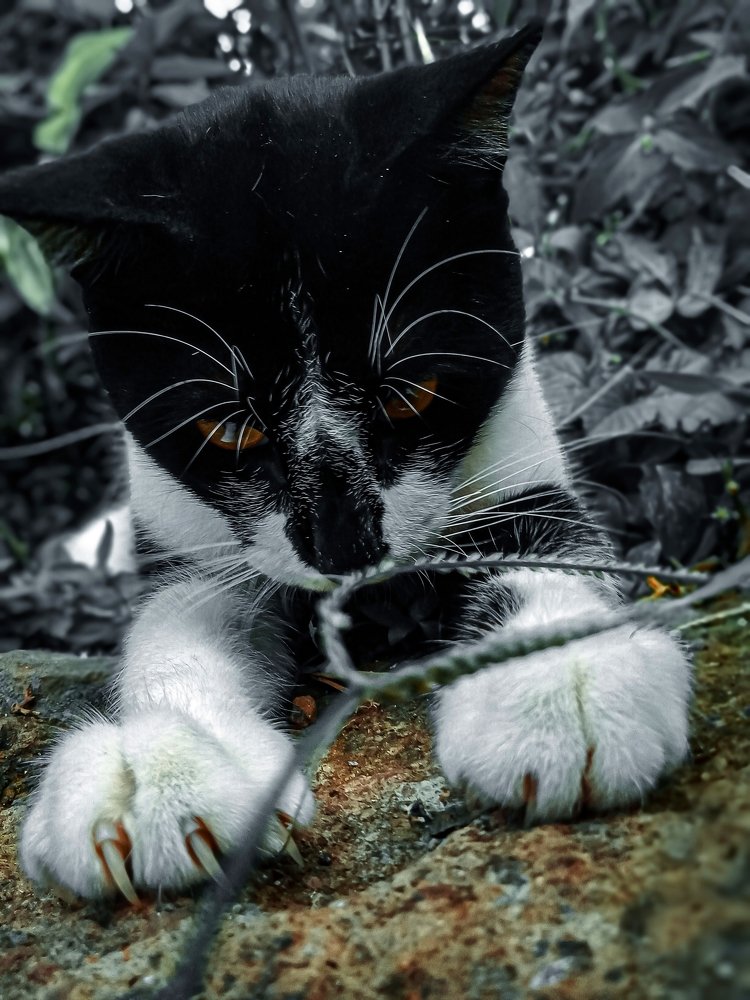 Photograph by Ayi Jamaludin