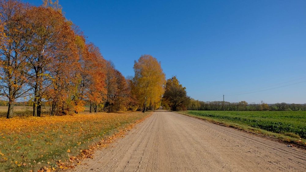 Фотография автора Александр Буренко