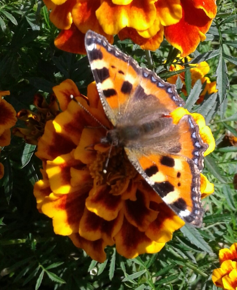 Photograph by Евгений Савулькин