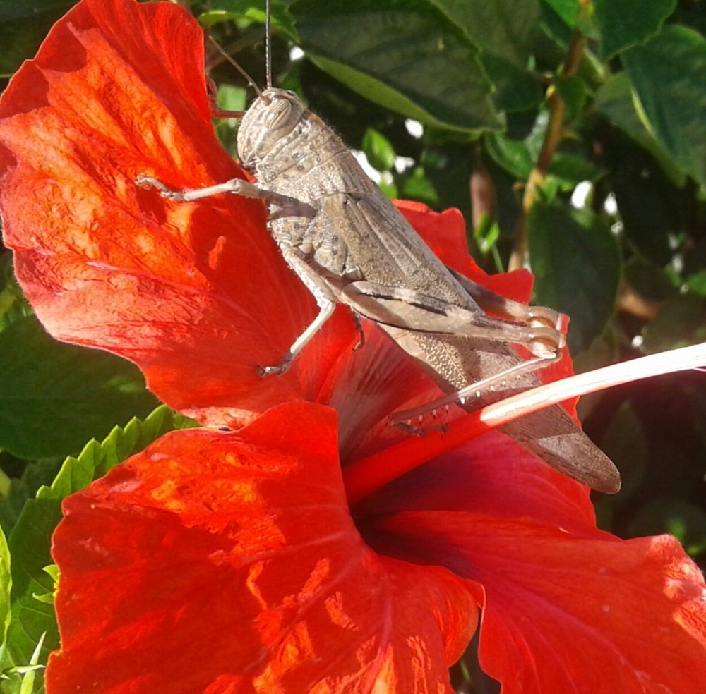 Photograph by Евгений Савулькин