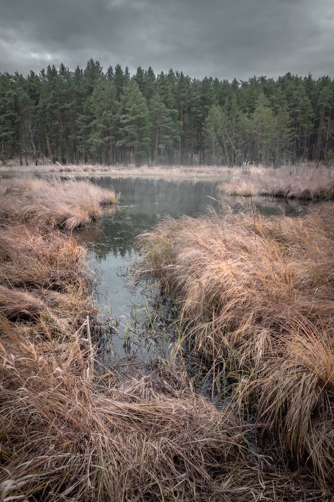 Photograph by Сергей Егоров