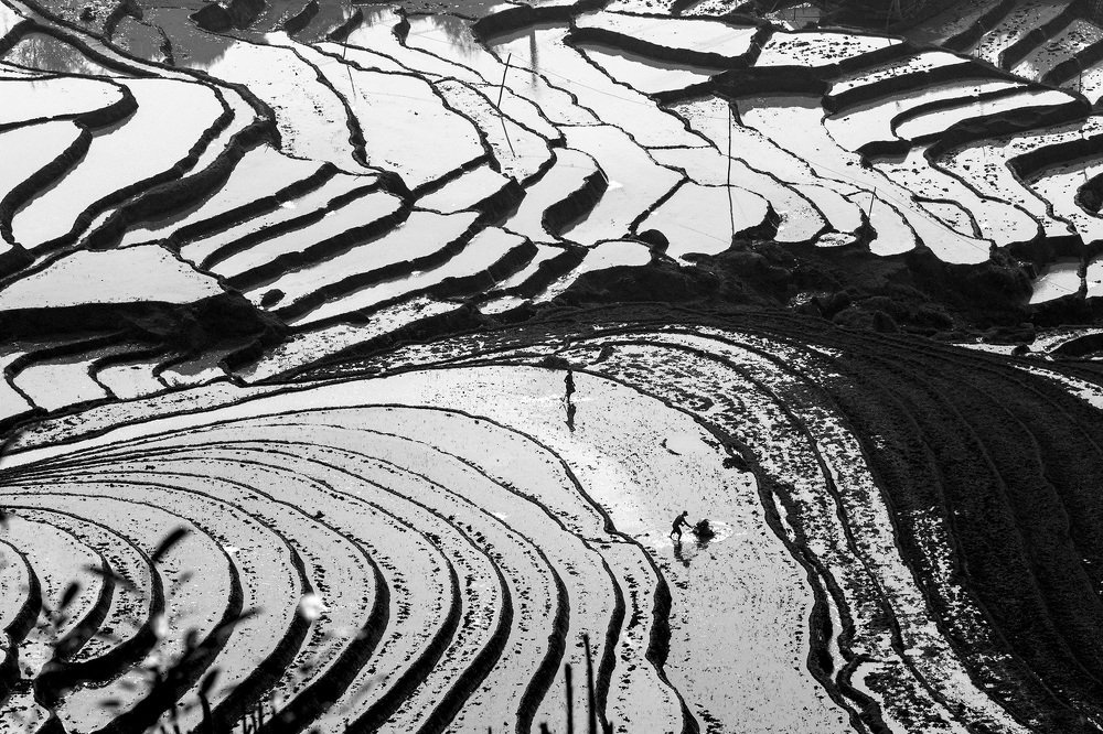 Photograph by Ngoc Vu Bao