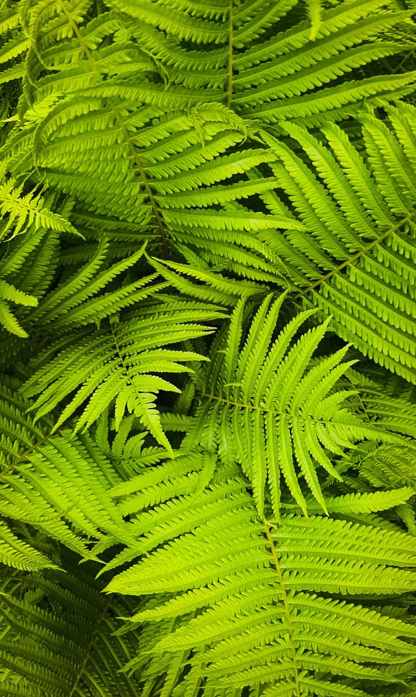 Photograph by Марина Горшкова