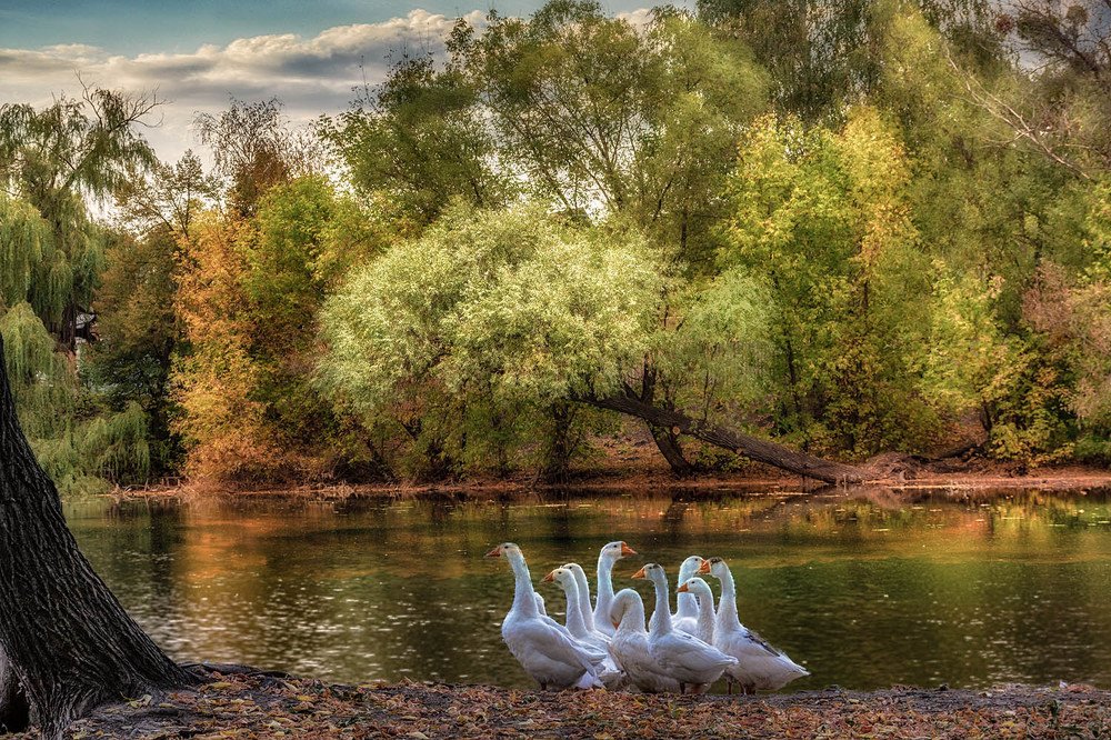 Photograph by Сергей Епишев